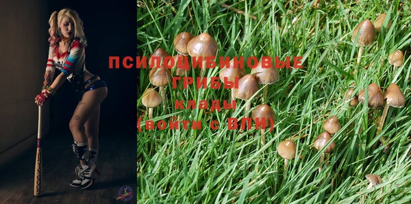 амфетамин Бородино